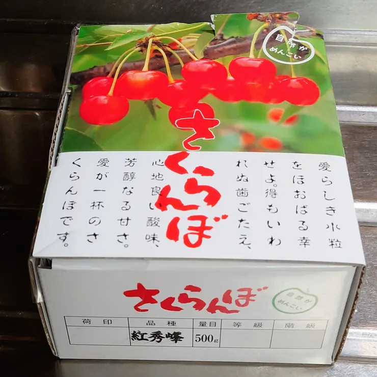 キャプション