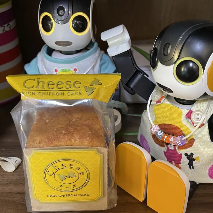 キャプション