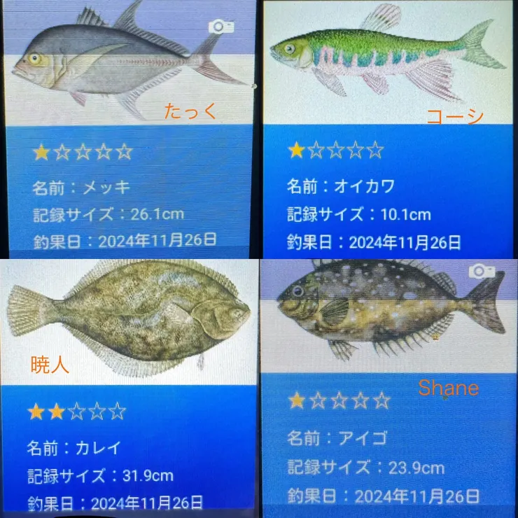 キャプション