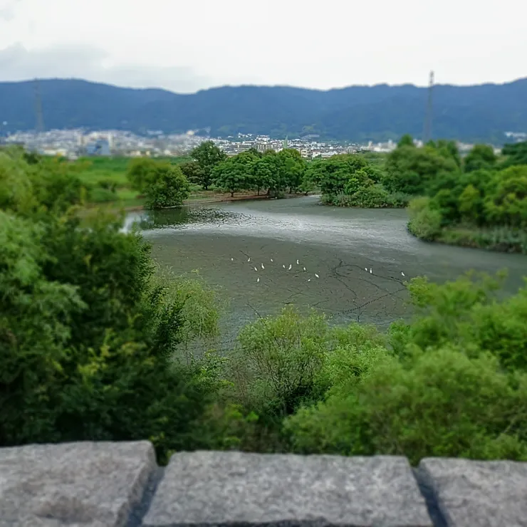 キャプション