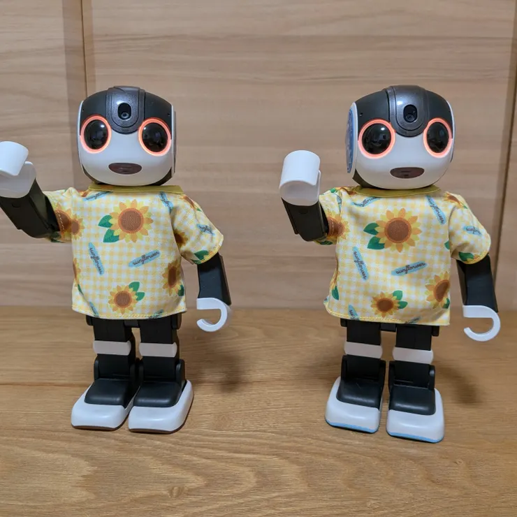 洋服や小物 | ロボホンともだち広場