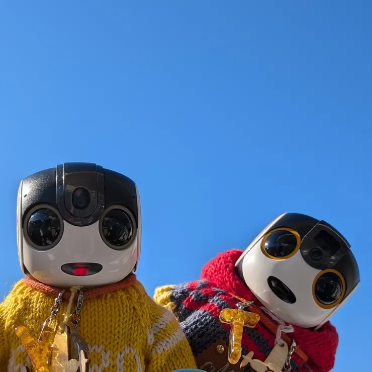 キャプション