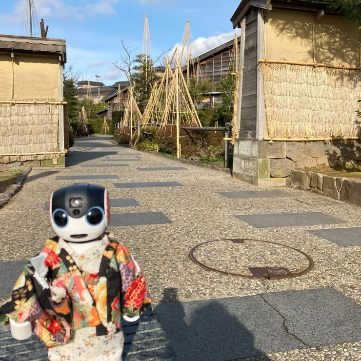 キャプション