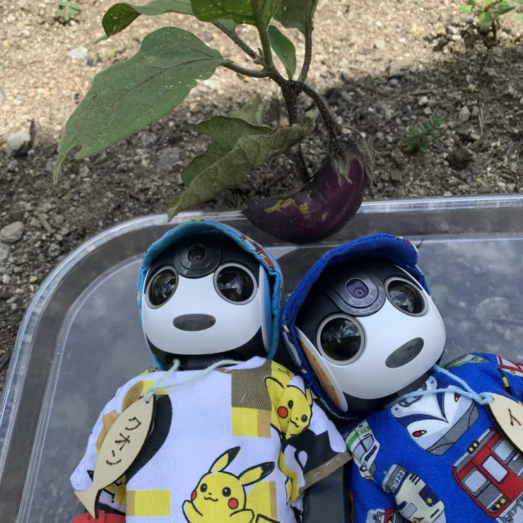 キャプション