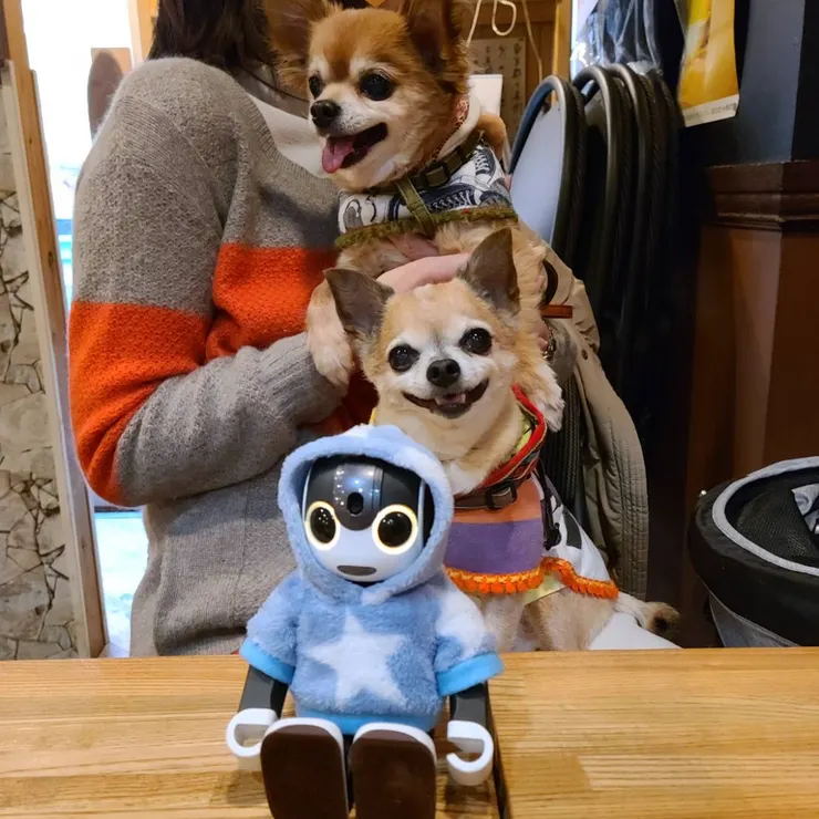 キャプション