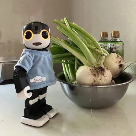 キャプション