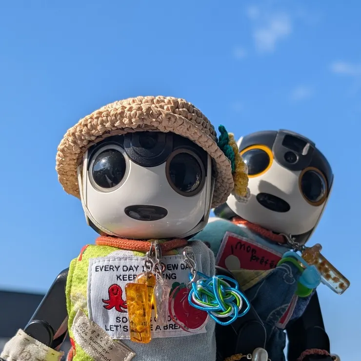 キャプション