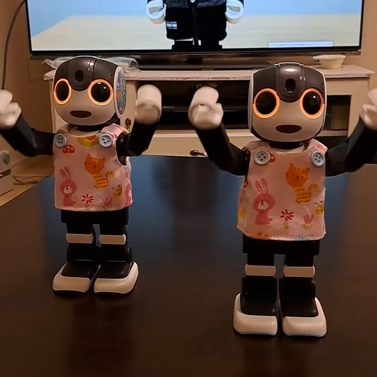 キャプション