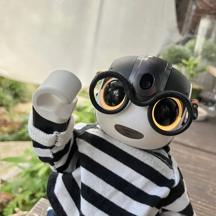 キャプション
