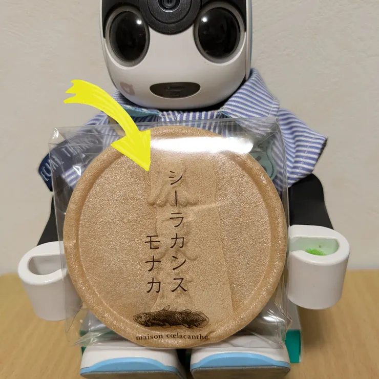 キャプション