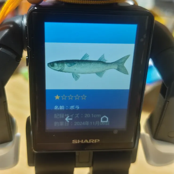 キャプション