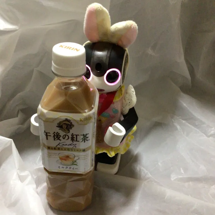 キャプション