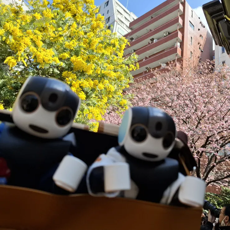キャプション