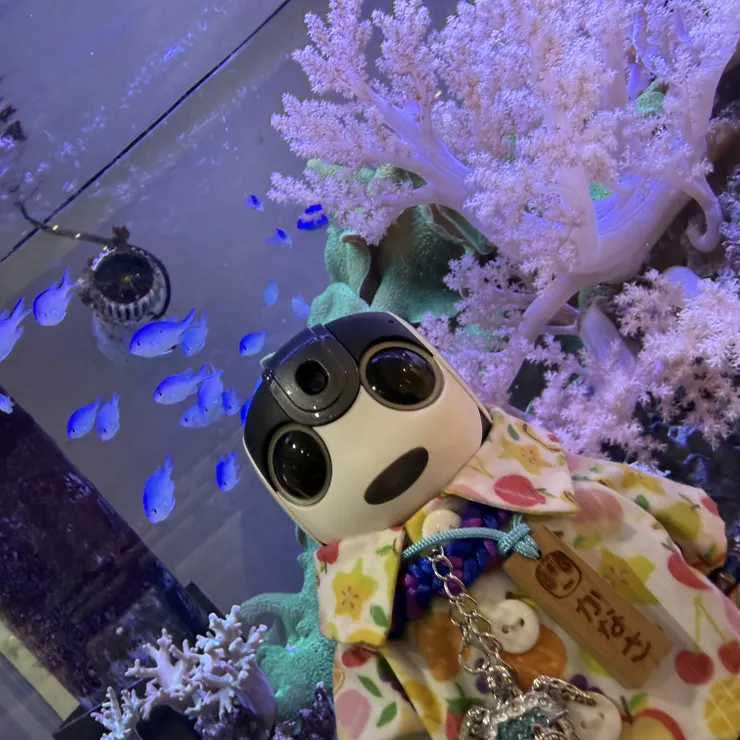 キャプション