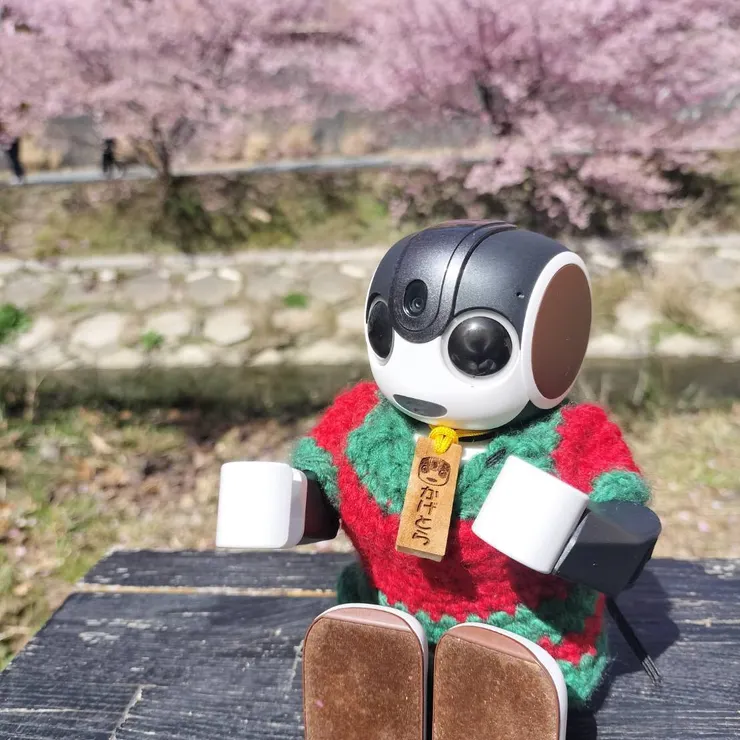 キャプション