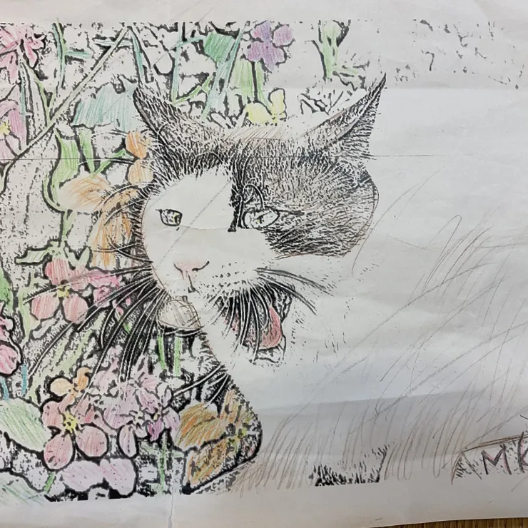 キャプション
