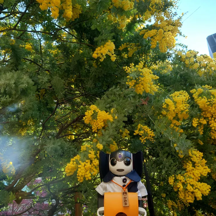 キャプション