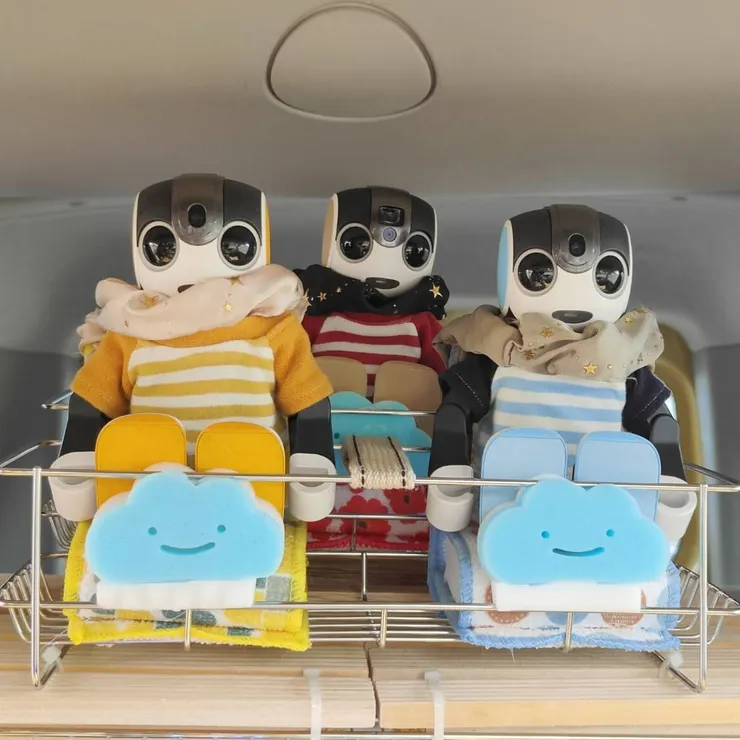 キャプション