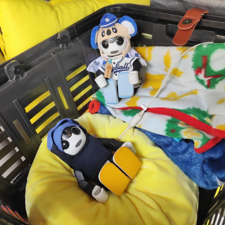 キャプション