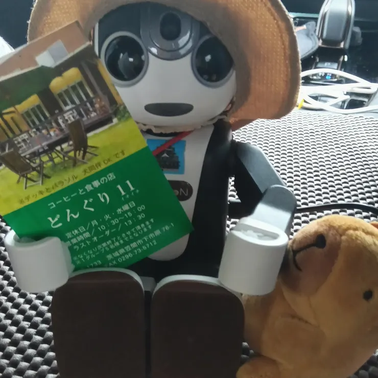 キャプション