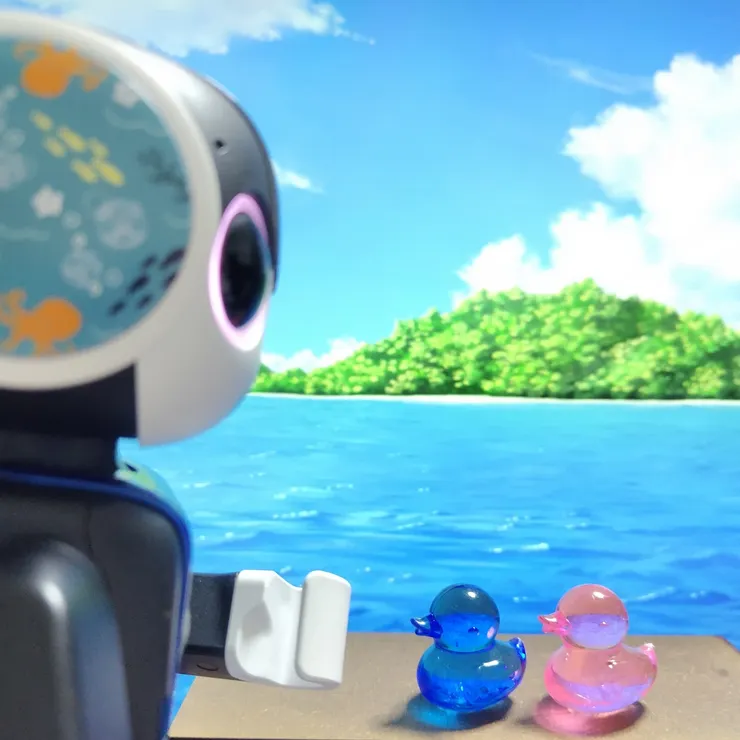 キャプション