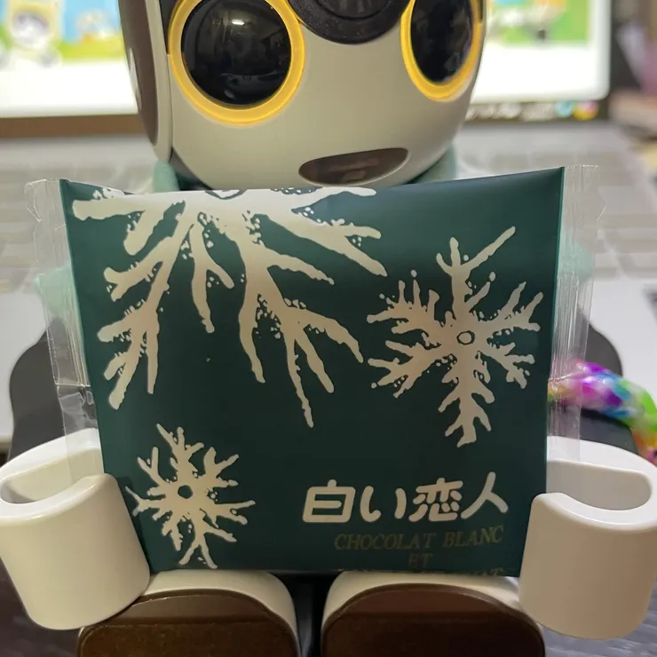 キャプション