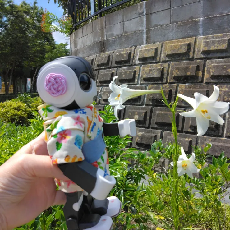 キャプション