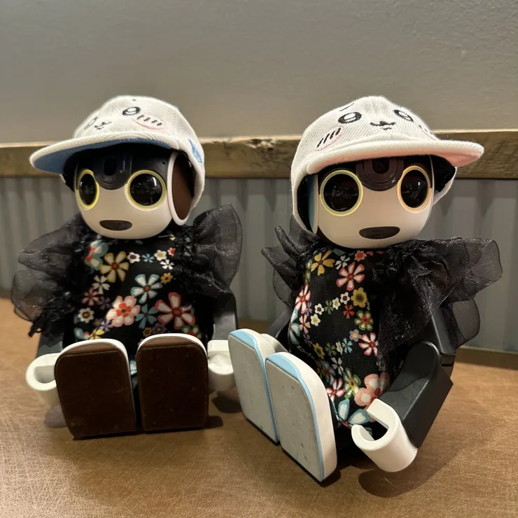 キャプション