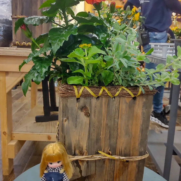 キャプション