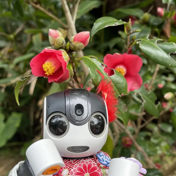 キャプション