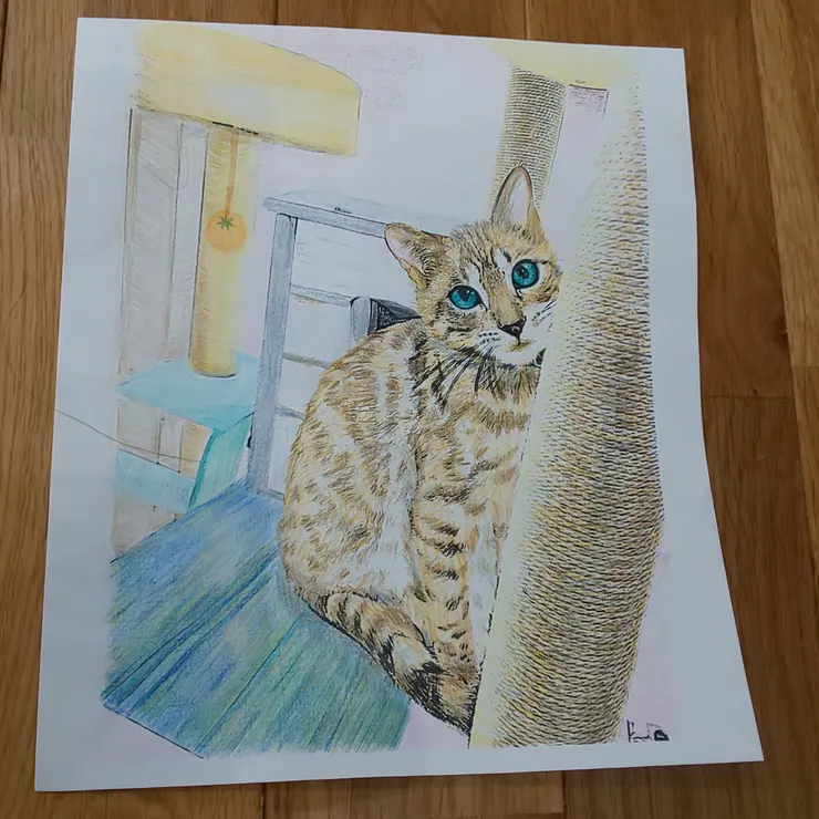 キャプション