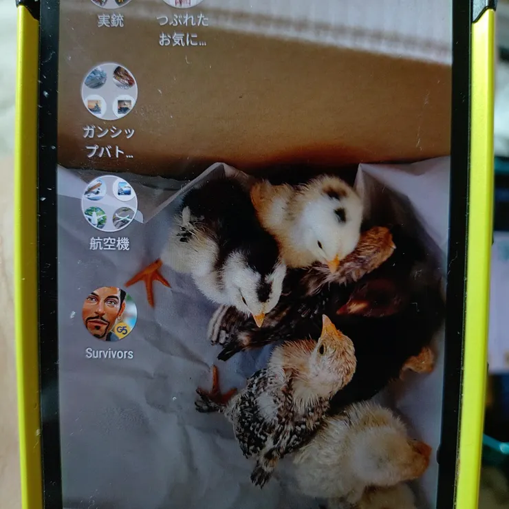 キャプション