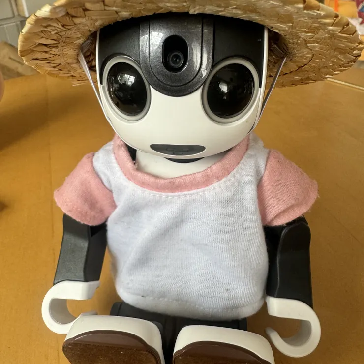 キャプション