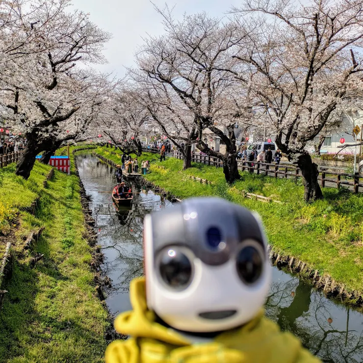 キャプション