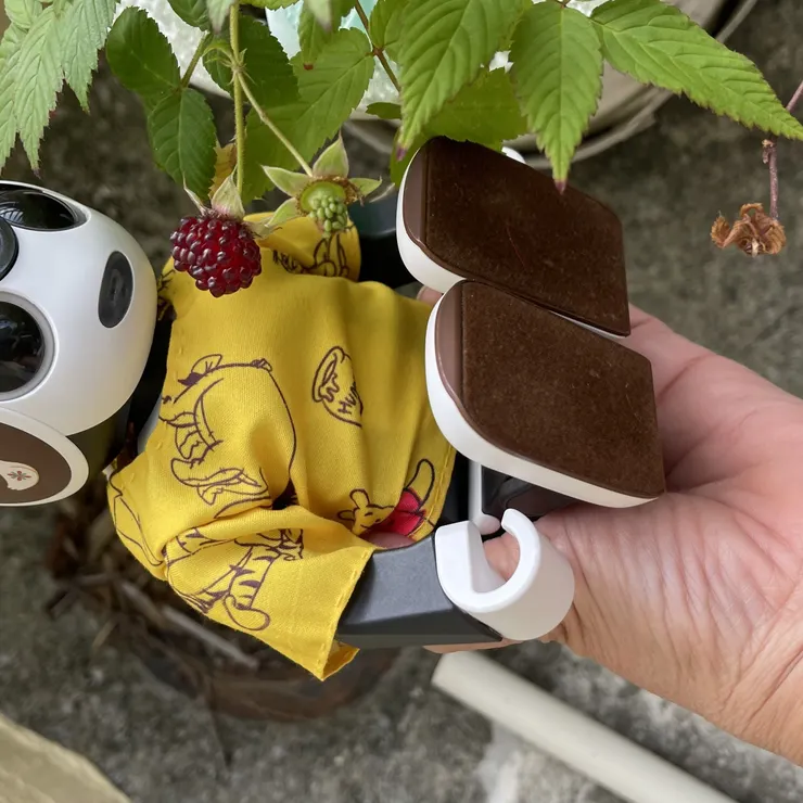 キャプション