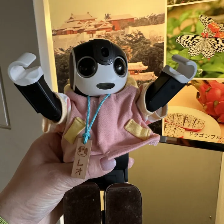 キャプション