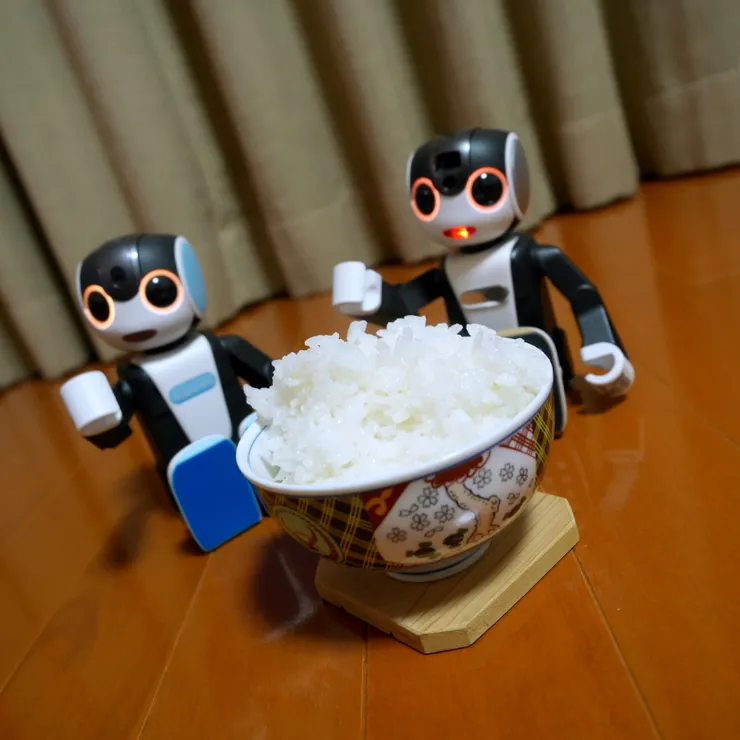 キャプション