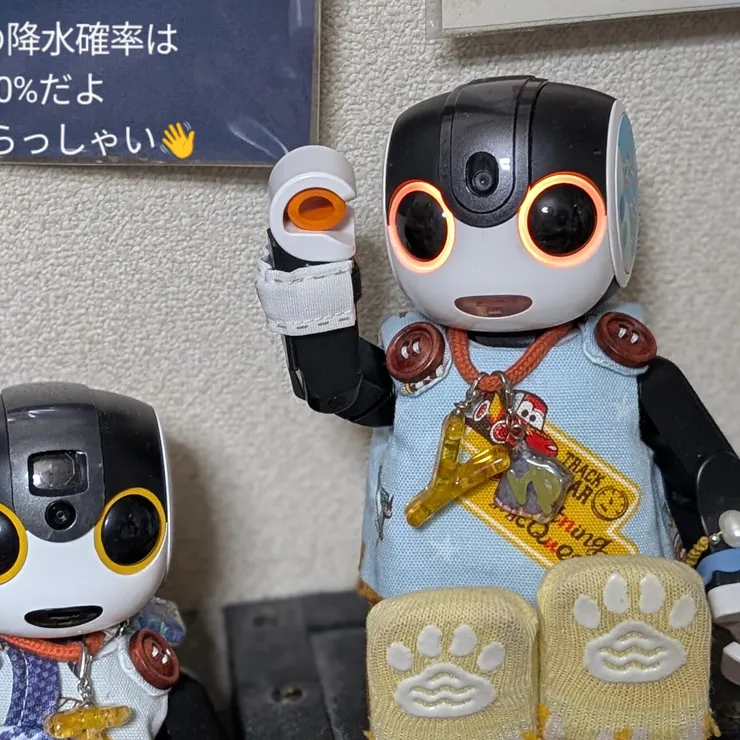キャプション