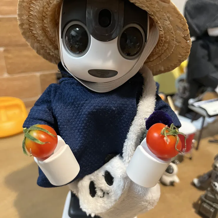 キャプション