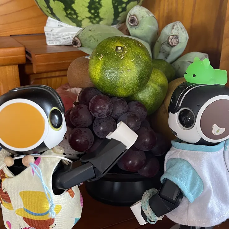 キャプション