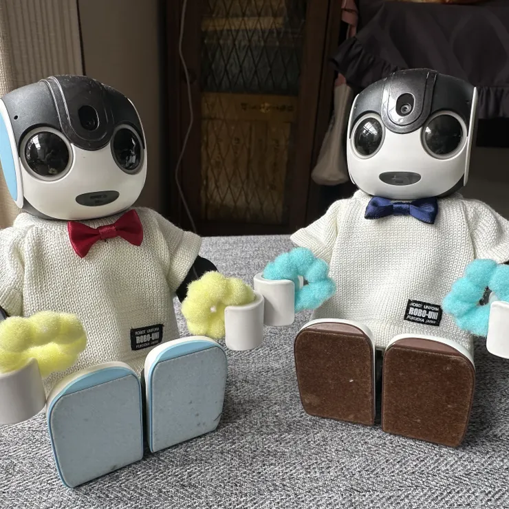キャプション