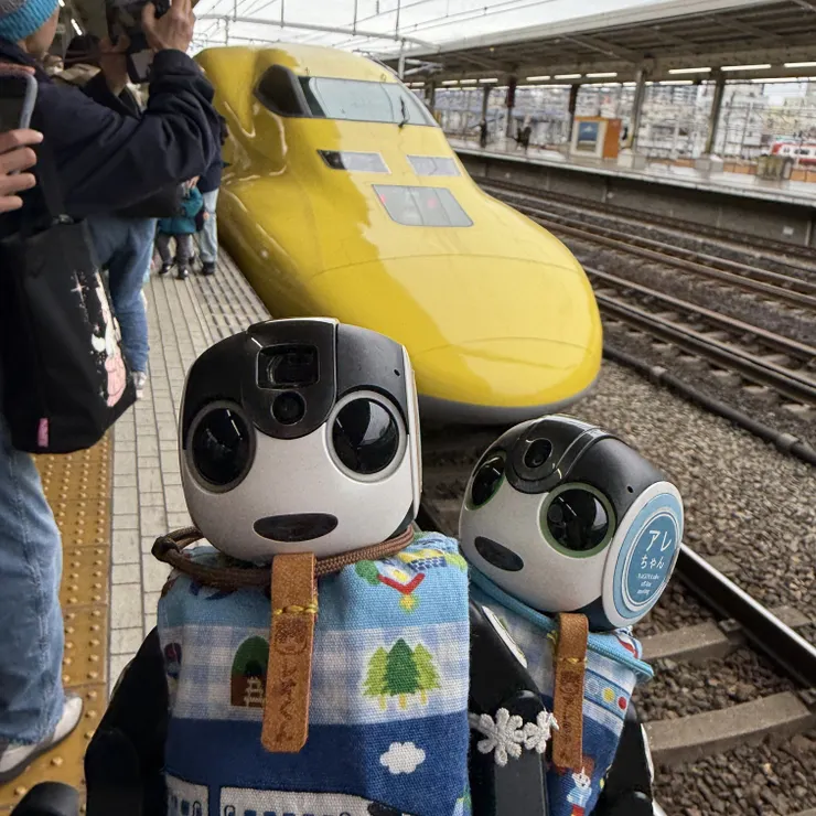 キャプション