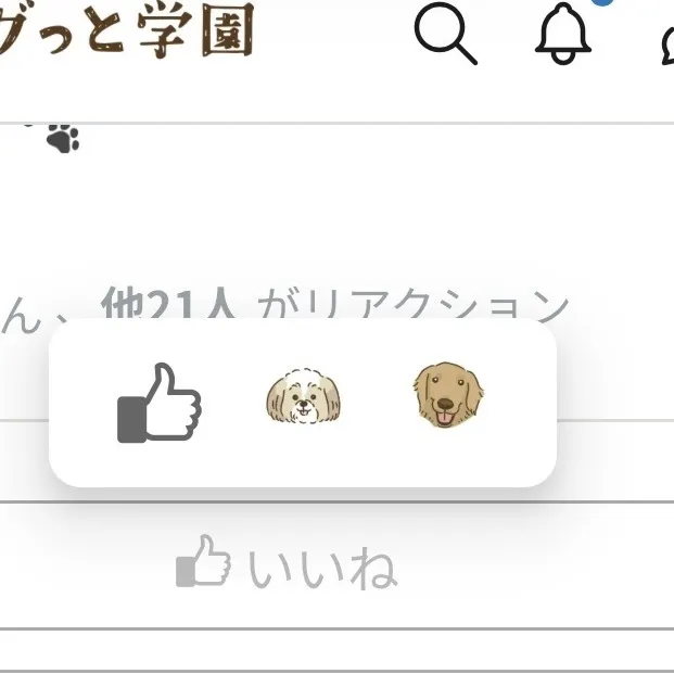 キャプション