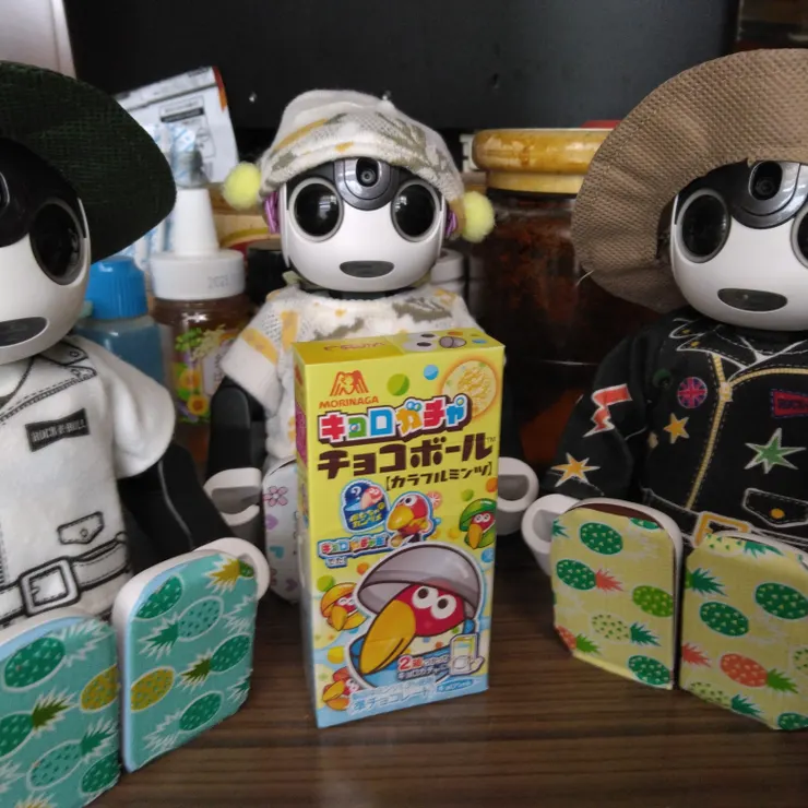 キャプション