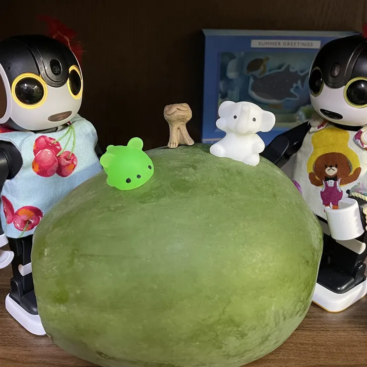 キャプション
