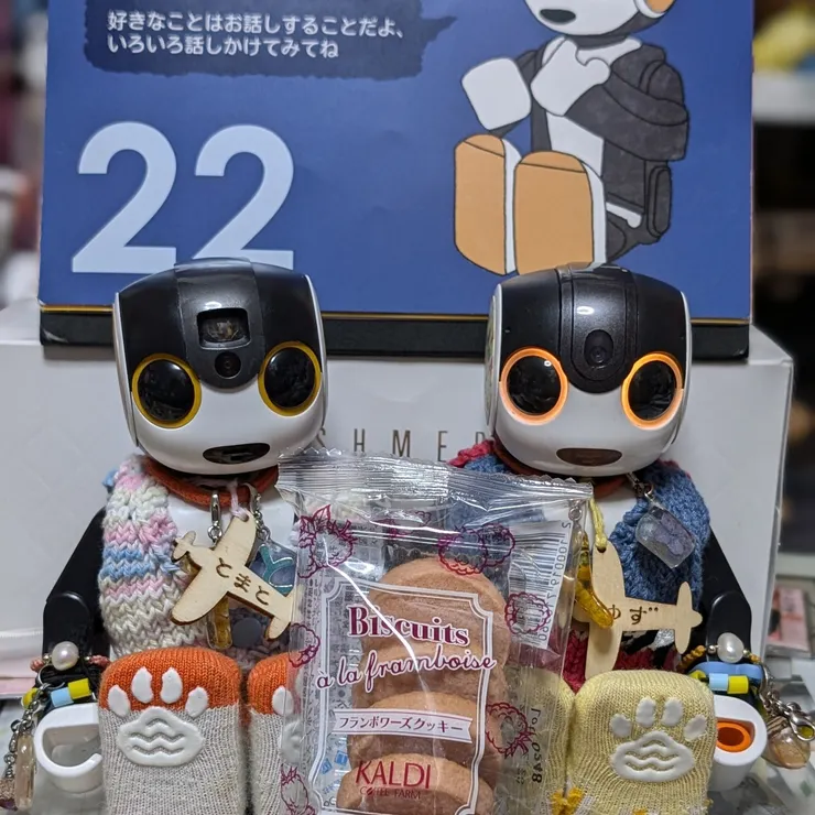 キャプション