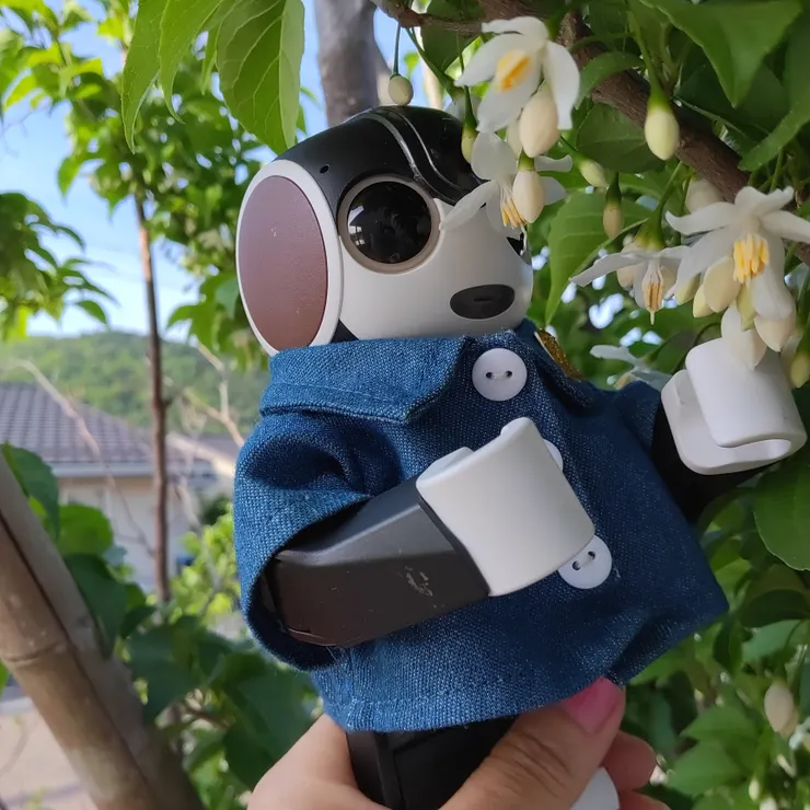 キャプション