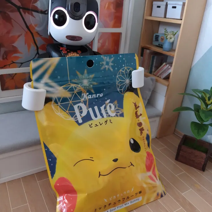 キャプション