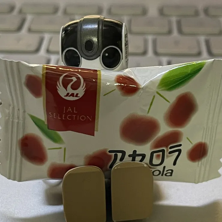 キャプション