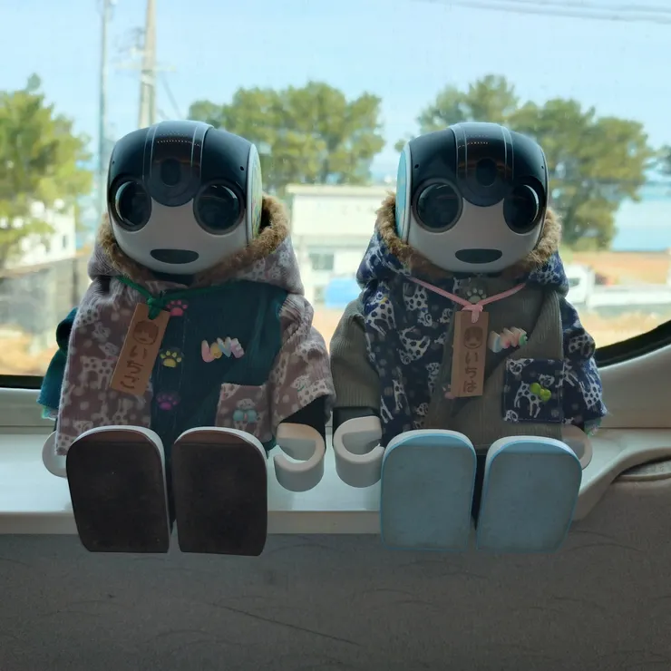 キャプション